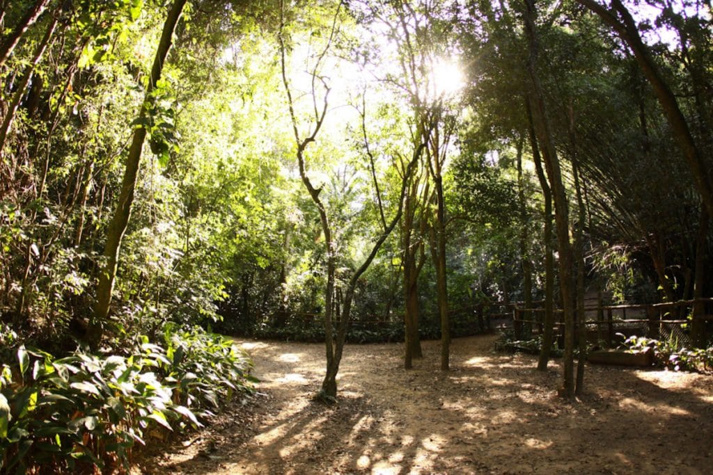 Caminhe, Se Perca e Descubra Cantos Escondidos